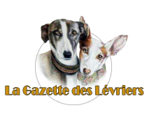 logo-gazette-03-2.png