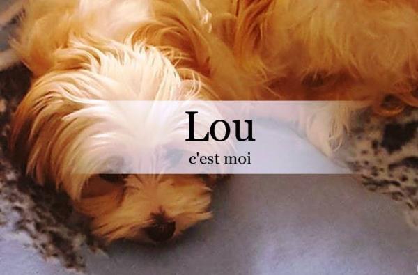 Lou adoptee 1