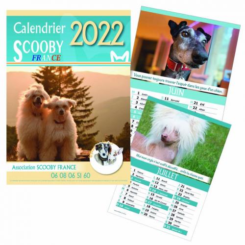 Post facebook calendrier scooby france